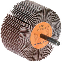 Disques &agrave; lamelles - Meules &agrave; lamelles Coolcut, Oxyde d'aluminium, Grain 80, 3" x 1-1/2" x 1/4" FMT Sales Ltd