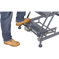 Weight Actuated Lockstep Rolling Ladders, 6 Steps, 24" Step Width, 60" Platform Height, Steel FMT Sales Ltd