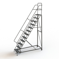 Heavy Duty Rolling Ladder, 12 Steps, 24" Step Width, 120" Platform Height, Steel FMT Sales Ltd