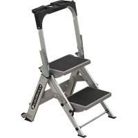 Tilt & Roll Step Stool Ladder, 2 Steps, 23" x 21" x 34.50" High FMT Sales Ltd