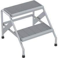 Aluminum Step Stand, 2 Step(s), 22-13/16" W x 24-9/16" L x 20" H, 500 lbs. Capacity FMT Sales Ltd
