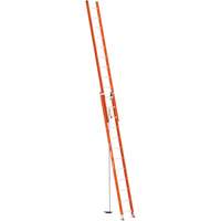 BuildMan&reg; Extension Ladder, 300 lbs. Cap., 24' H, Grade 1A FMT Sales Ltd