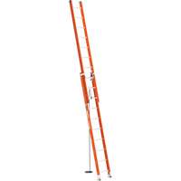 BuildMan&reg; Extension Ladder, 300 lbs. Cap., 20' H, Grade 1A FMT Sales Ltd