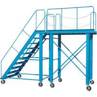 Snow Ladder, Steel, 10 Steps, 99" H, 85-1/2" D, 48" Step, Serrated FMT Sales Ltd