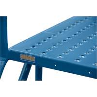 &eacute;chelles de liaison, 35-1/2" Port&eacute;e hors tout, 31-1/2" ha x 22" p, 22" Largeur de la marche FMT Sales Ltd