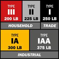 BuildMan&reg; Extension Ladder, 300 lbs. Cap., 40' H, Grade 1A FMT Sales Ltd