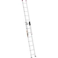 Jobsite Series Extension Ladder, 200 lbs. Cap., 16' H, Grade 3 FMT Sales Ltd