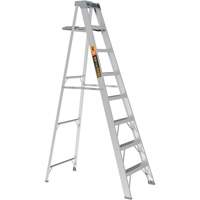 Step Ladder with Paint Tray, 8', Aluminum, 225 lbs. Capacity, Type 2 FMT Sales Ltd