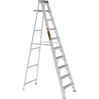 Step Ladder with Paint Tray, 10', Aluminum, 225 lbs. Capacity, Type 2 FMT Sales Ltd