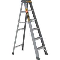 Step Ladder, 6', Fibreglass, 225 lbs. Capacity, Type 2 FMT Sales Ltd