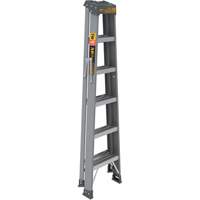 Step Ladder, 6', Fibreglass, 225 lbs. Capacity, Type 2 FMT Sales Ltd