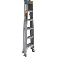 Step Ladder with Paint Tray, 6', Fibreglass, 225 lbs. Capacity, Type 2 FMT Sales Ltd