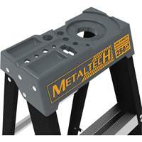 Step Ladder with Paint Tray, 10', Fibreglass, 250 lbs. Capacity, Type 1 FMT Sales Ltd