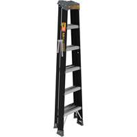 Step Ladder, 6', Fibreglass, 250 lbs. Capacity, Type 1 FMT Sales Ltd