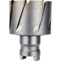 Fraise avec tenon &agrave; changement rapide Drive Hawg, Diam&egrave;tre de 2", Acier, Profondeur de la coupe de 1" FMT Sales Ltd