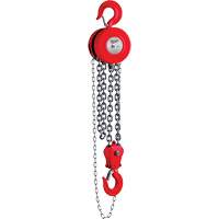 Chain Hoist, 8' Lift, 11023 lbs. (5 tons) Capacity FMT Sales Ltd