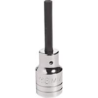 Embout &agrave; ins&eacute;rer, Hexagonale, 18 mm x 4" lo, Prise 1/2" FMT Sales Ltd