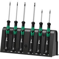 Precision Screwdriver Set, 6 Pcs. FMT Sales Ltd