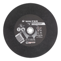 Portacut High Speed Cut-Off Wheel, 12" x 1/8", 3/4" Arbor, Type 1, Silicon Carbide, 6300 RPM FMT Sales Ltd