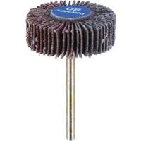 M&egrave;che de ponçage &agrave; roue &agrave; lamelles 3/8" - grain 80 FMT Sales Ltd