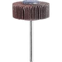 M&egrave;che de ponçage &agrave; roue &agrave; lamelles 3/8" - grain 120 FMT Sales Ltd