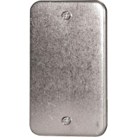 Blank Wall Plate FMT Sales Ltd