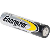 Alkaline Industrial Batteries, AAA, 1.5 V FMT Sales Ltd