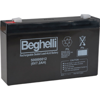 Sealed Lead Acid Batteries, 6 V, 7.2 Ah FMT Sales Ltd