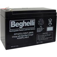Sealed Lead Acid Batteries, 12 V, 7.2 Ah FMT Sales Ltd