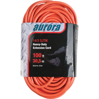 Vinyl Extension Cord, Outdoor, SJTW, 14/3 AWG, 13 A, 100' FMT Sales Ltd