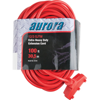 Cordon rallonge en vinyle, Ext&eacute;rieur, SJTW, AWG 12/3, 15 A, 3 prise(s), 100' FMT Sales Ltd