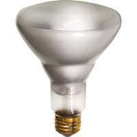Economy Line Incandescent Lamps FMT Sales Ltd