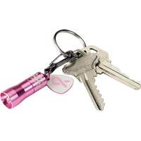 Lampes de poche Nano Light FMT Sales Ltd