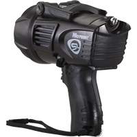 Waypoint&reg; Pistol Grip Spotlights, LED, 550 Lumens, C Batteries FMT Sales Ltd