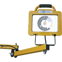 Heavy-Duty Dock Light, 40" Arm, 38 W, LED Lamp, Metal FMT Sales Ltd