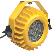 Heavy-Duty LED Dock Light - Head Only FMT Sales Ltd