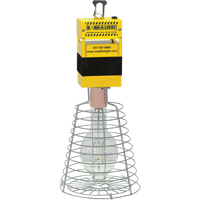 Baladeuses FMT Sales Ltd