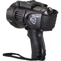 Waypoint&reg; Pistol Grip Spotlight, LED, 550 Lumens, C Batteries FMT Sales Ltd