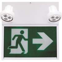 Running Man Exit Sign, LED, Battery Operated/Hardwired, 12" L x 12 1/2" W, Pictogram FMT Sales Ltd
