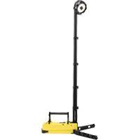 Lampes de sc&egrave;ne portables et rechargeables, DEL, 36 W, 5300 lumens, Boîtier en Plastique FMT Sales Ltd