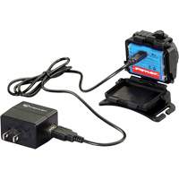 Lampe frontale Double Clutch &agrave; piles alcalines, DEL, 125 lumens, 3,5 hres de fonctionnement, piles AAA FMT Sales Ltd