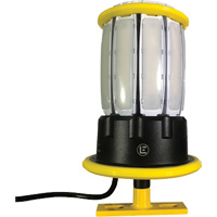 Portable Floodlights, LED, 120 W, 13000 Lumens, Aluminum Housing FMT Sales Ltd