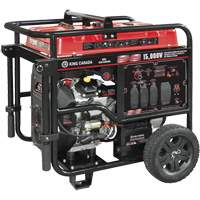V-Twin Gasoline Generator, 15000 W Surge, 12500 W Rated, 120 V/240 V, 40 L Tank FMT Sales Ltd