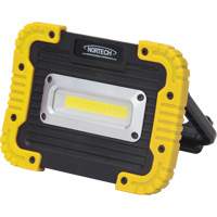 Portable Work Light, LED, 10 W, 1000 Lumens, Plastic Housing FMT Sales Ltd
