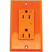 Surge Protective Isolated Decora&reg; Outlet FMT Sales Ltd