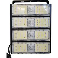 Light Head, LED, 200 W, 30000 Lumens, Aluminum Housing FMT Sales Ltd