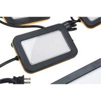 LED String Work Lights, 5 Lights, 50' L, Plastic Housing FMT Sales Ltd