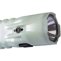 Flashlight, LED, 378 Lumens, AA Batteries FMT Sales Ltd