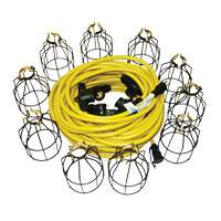 LED Stringlights, 10 Lights, 100' L, Metal Housing FMT Sales Ltd