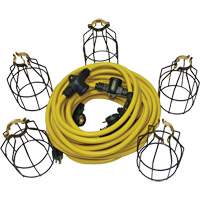 LED String Lights with Connector, 5 Lights, 50' L, Metal Housing FMT Sales Ltd